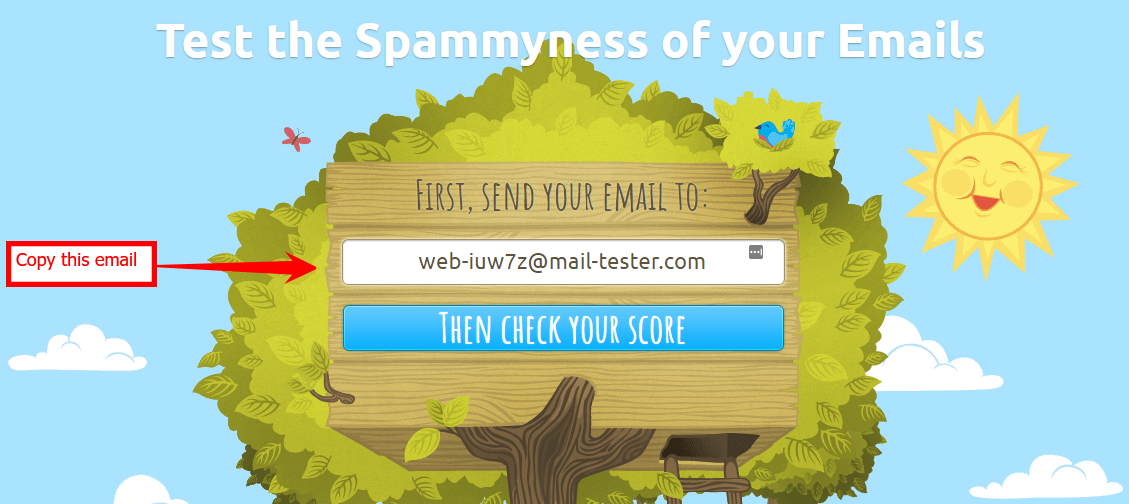 Copy the Test Email Address